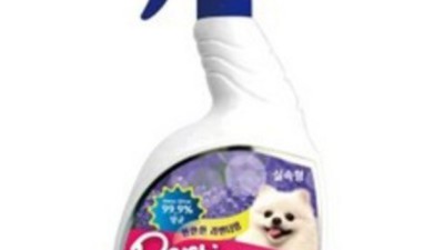 놓치면 후회! 포르티 솔직 후기 & 꿀팁🍯